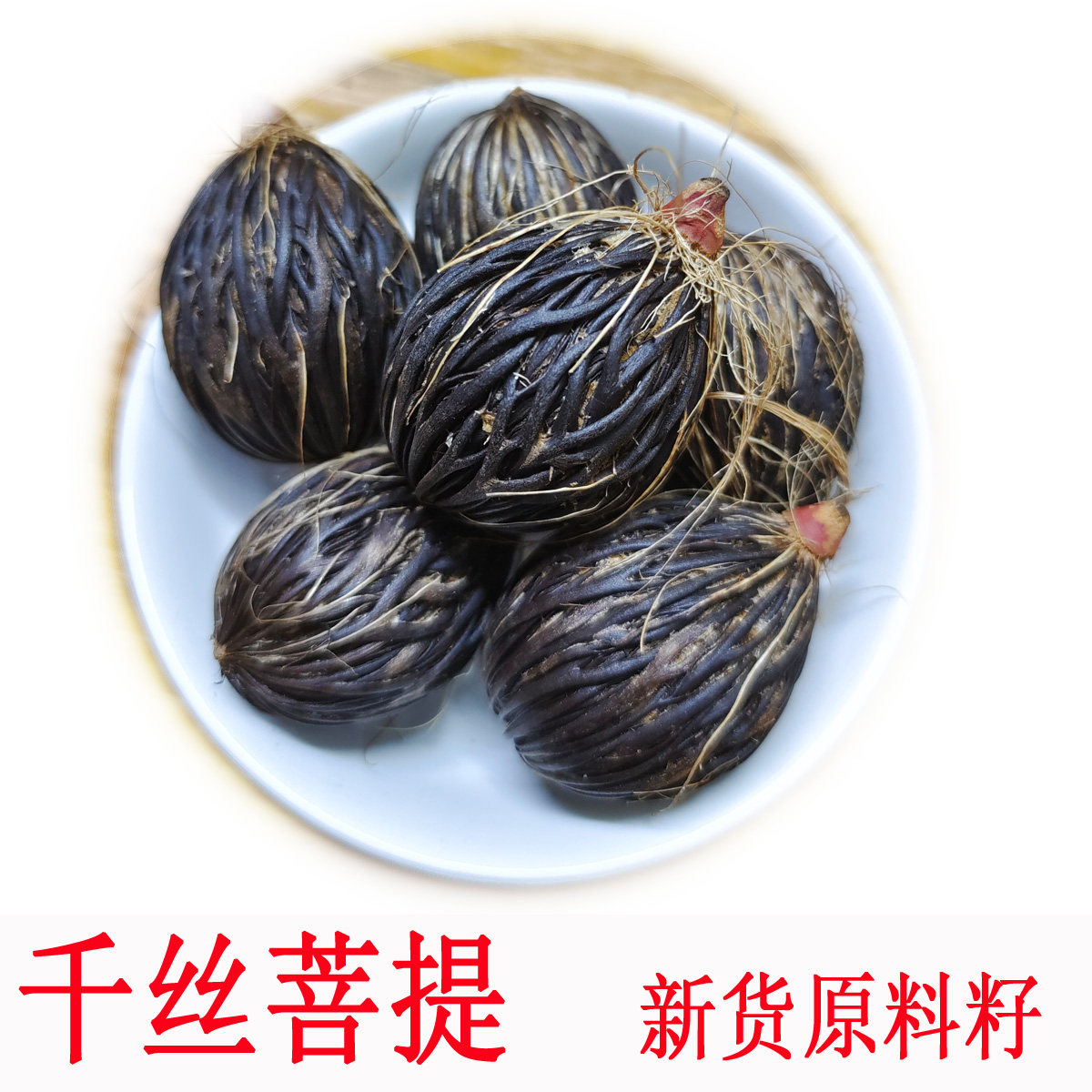 千丝菩提原籽狐尾椰子种子图片