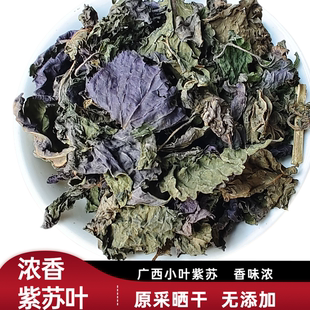 紫苏叶 浓香小紫苏叶 广西紫苏叶 去腥烧鱼虾蟹香 料 新鲜干紫苏
