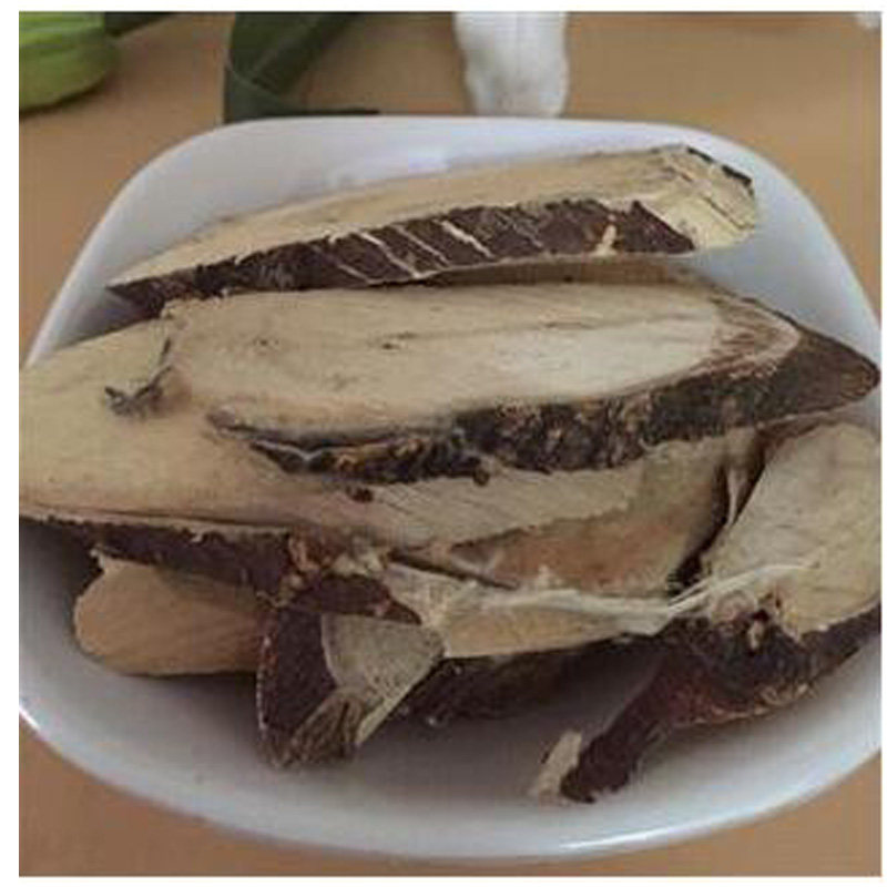 了哥王 九信菜，鸡子麻，山黄皮，鸡杧头，荛花，蒲仑500g