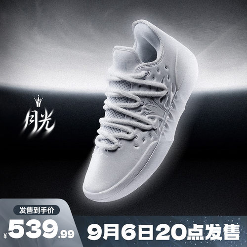 篮球专业鞋