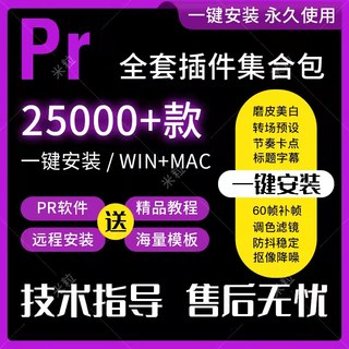 PR插件全套中文一键安装包软件调色转场磨皮预设素材模板教程2021
