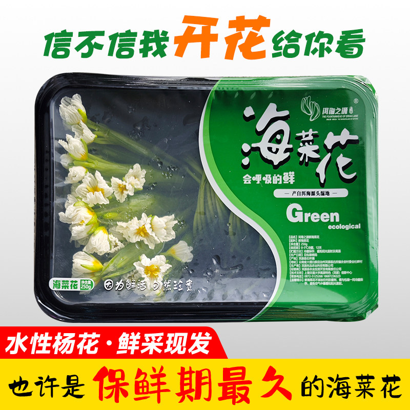 洱海之源鲜海菜花 礼盒装 水性杨花 云南大理丽江泸沽湖特产蔬菜