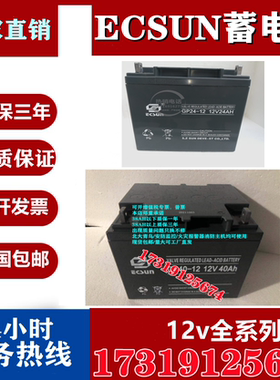 ECSUN蓄电池12V40AH消防监控GP40-12免维护UPS备用电源12V24AH