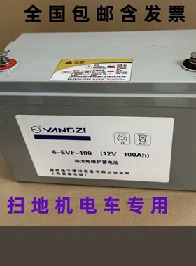 扬子yangzi蓄电池6-EVF-10012V100AH洗地机扫地车电瓶动力免维护