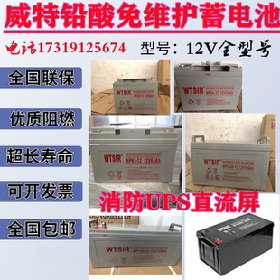 WTSIR威特蓄电池NP-12V7AH17AH24AH38AH65AH100AH120AH直流屏UPS