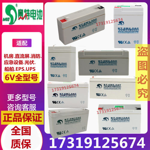 赛特BT-6M电子秤仪器童车6V全系