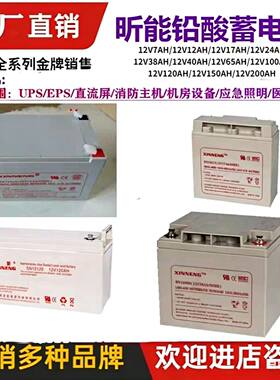 XINNENG昕能蓄电池12v7AH12AH17A