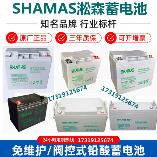 SHAMAS淞森蓄电池6GFM12V100AH38AH24AH17AH55A65AH应急UPS直流屏