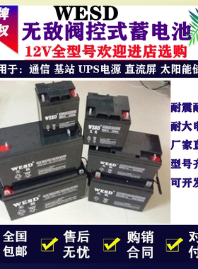 WESD无敌蓄电池WD17-12胶体12V7AH12A20A24A38A40A65A100A消防UPS