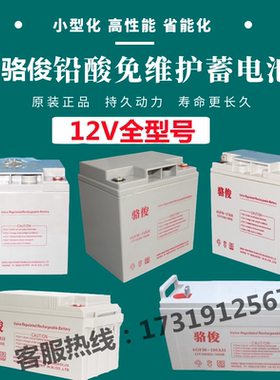 骆俊蓄电池6GFM12V100AH65AH38AH24A17A9A7AUPSEPS应急蓄电池电瓶
