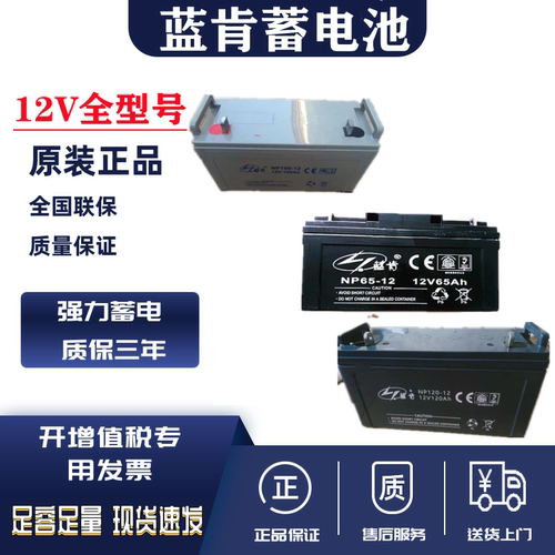 蓝肯UPS直流屏蓄电池NP12V7AH17AH24AH38AH40AH65AH100AH120AH150