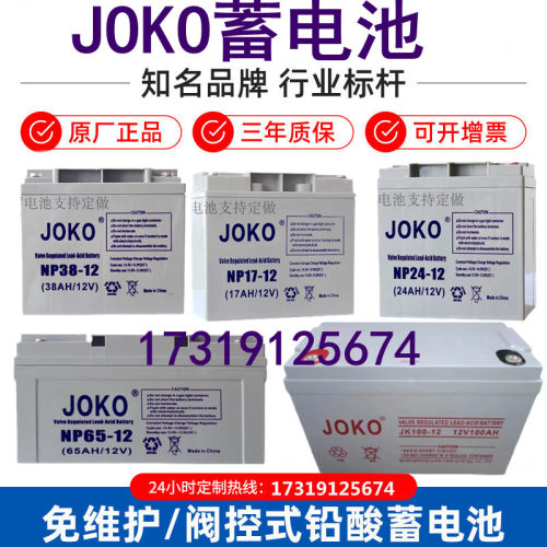 JOKO蓄电池直流屏UPSEPS12V型号