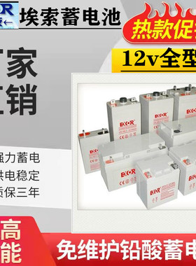 EXOR埃索蓄电池EX100-12/12V65AH55Ah40A38A33A24A17A9AH消防应急