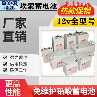 EXOR埃索蓄电池EX100-12/12V65AH55Ah40A38A33A24A17A9AH消防应急