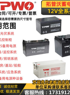 TPWO拓普沃蓄电池NP38-12V250A200H120A100H65A50H38A17A12AH消防