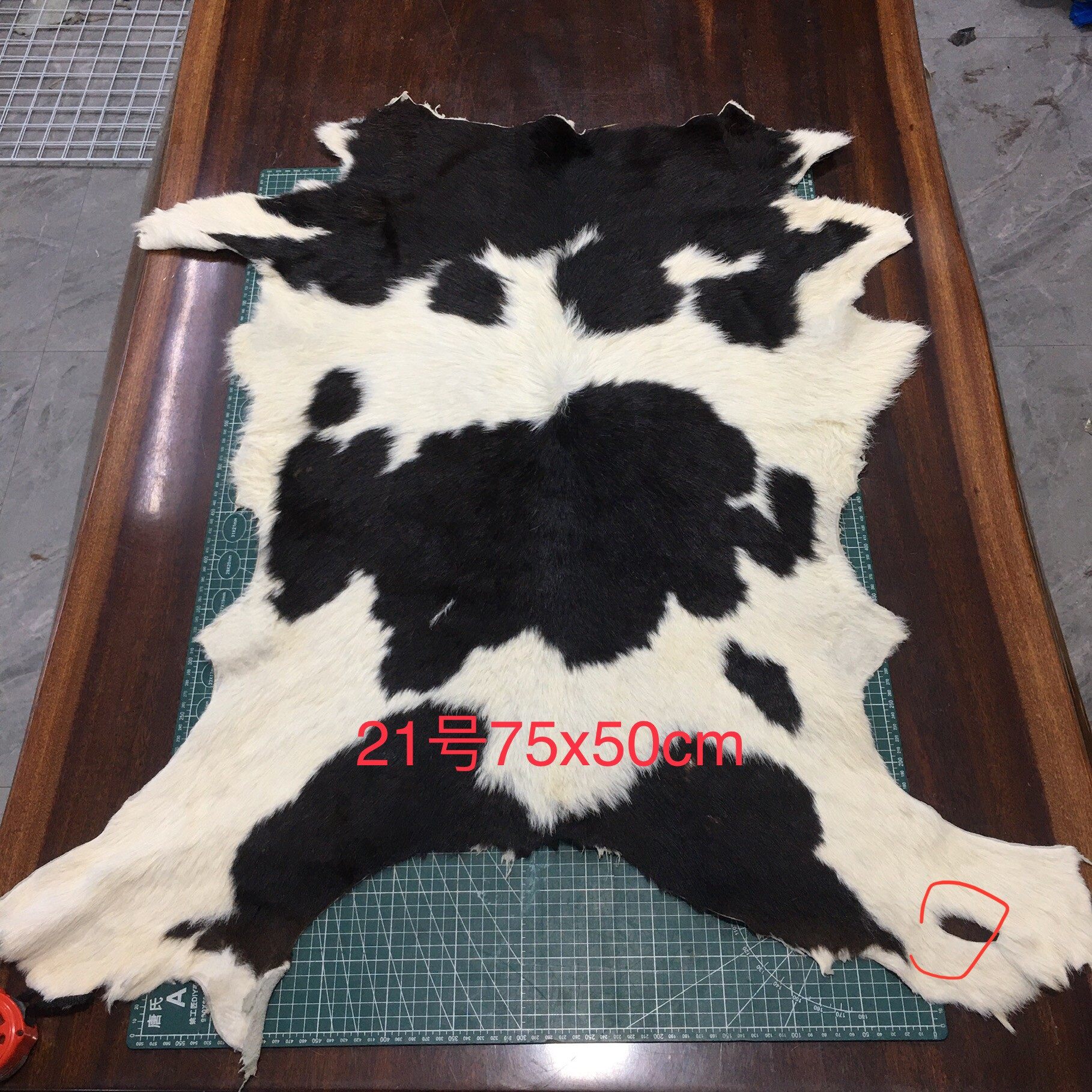 原生态自然原色胎牛奶牛毛皮毛一体真皮服装鞋靴箱包手工DIY皮料