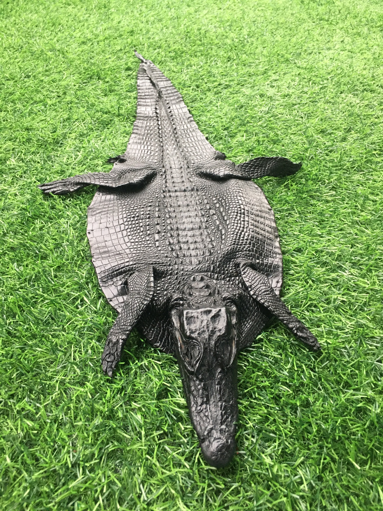 tzp236黑色带头鳄鱼皮标本真皮鞋靴箱包皮具摆件手工DIY皮料面料