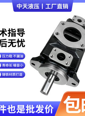 新款中天液压T6DC-028/031/035/038-012/014/017-1R00-A1 叶现货