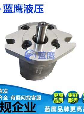 新款1AG1P01R/1GG1P01R/02R/03R/04R/05R/06R/08R/09R齿轮泵包邮