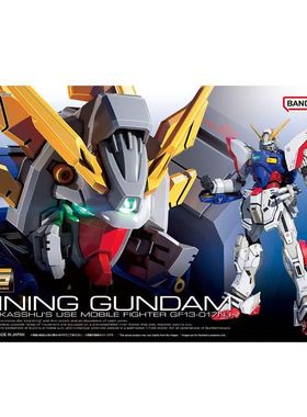 万代 RG 1/144 闪光高达 机动武斗传 G高达 多蒙卡修 拼装模型