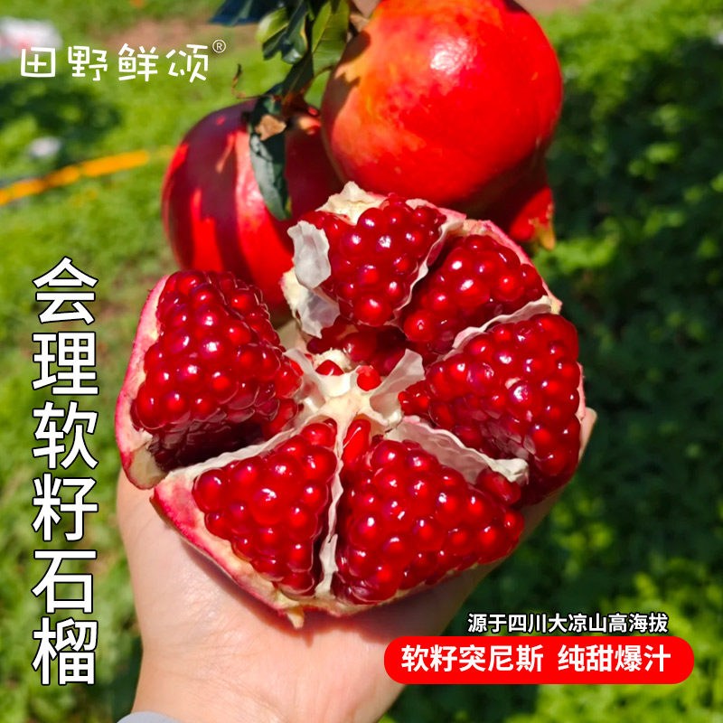 四川大凉山会理石榴突尼斯软籽
