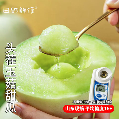 山东头茬玉菇甜瓜冰淇凌口感