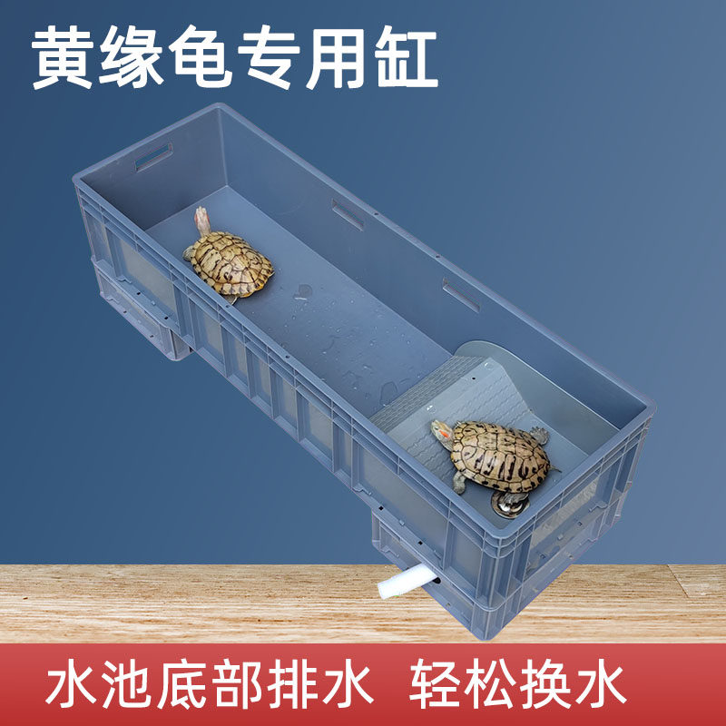 黄缘龟专用缸半水龟饲养箱生态缸龟箱池周转箱安缘龟造景专用水盆