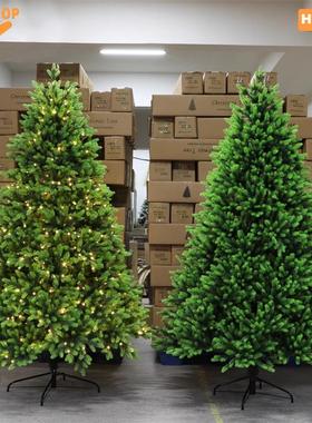 PE high quality Christmas tree Xmas Tree decorations lights