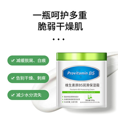 Vitamin B5 Moisturizing Cream moisturizer Cream Skincare