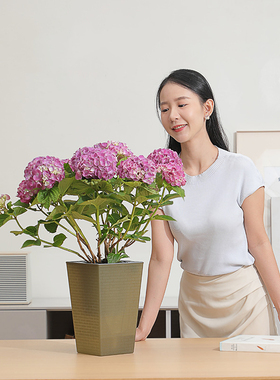加深方形花盆简约室内绣球花盆