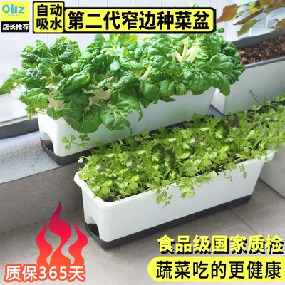 窄边长方形花盆阳台种菜盆懒人盆