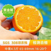 辰颐物语广西武鸣沃柑茂谷柑蜜橘子新鲜水果现摘现发柑橘蜜橙子