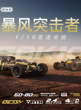 雷拉洛 1/10 风暴突击者 SBK10 电动竞速越野模型遥控车电越专业