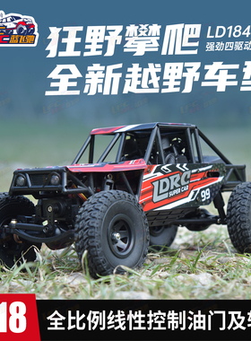 兰达科技 1/18 四驱越野车专业成人管架攀爬车遥控模型 LD18499