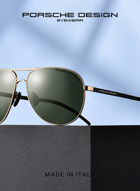 正品PORSCHEDESIGN保时捷 P8651 偏光太阳眼镜男款碳纤维镜腿墨镜