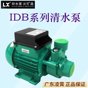 广东凌霄1DB35 1DB65 B清水泵 家用抽水 1DB45