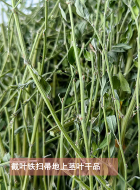 截叶铁扫帚全草干品夜关门千里光农家自晒草药农村中药材包邮