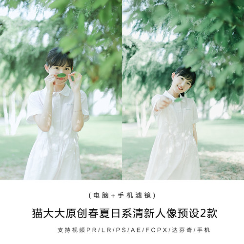 猫大大原创lightroom春夏日系清新人像婚礼lr预设手机ps视频滤镜