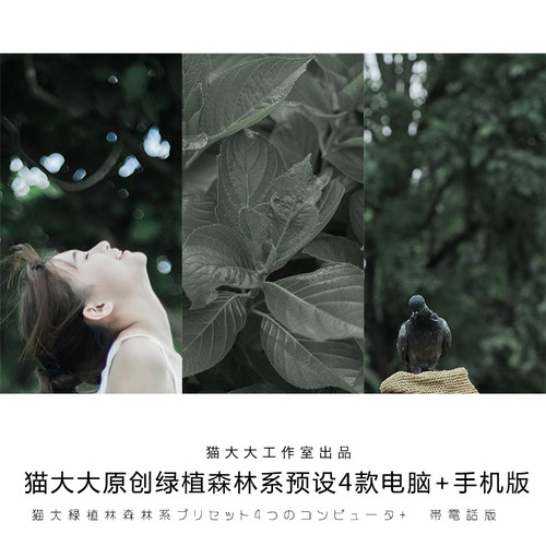猫大大原创调色摄影后期绿植森林系静物写真滤镜PS LR/手机LR预设