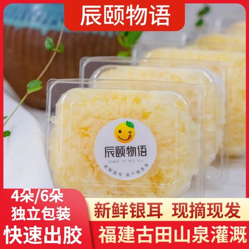 新鲜现摘福建辰颐物语古田老银耳