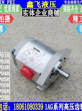 新款1AG1P01R 1GG1P01R 02R 03R 04R 05R 06R 08R 09R齿轮泵包邮