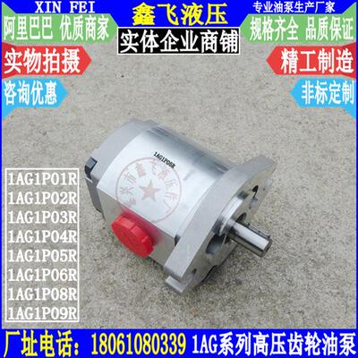 新款1AG1P01R 1GG1P01R 02R 03R 04R 05R 06R 08R 09R齿轮泵包邮