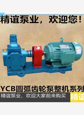 新款高温齿轮泵YCB12/0.6 圆弧齿轮油泵润滑泵增压泵自吸泵抽包邮