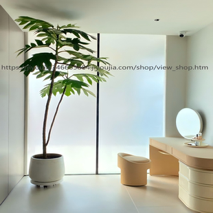 大型绿植面包树盆栽室内客厅阳台办公室好养大叶植物四季 常青真树