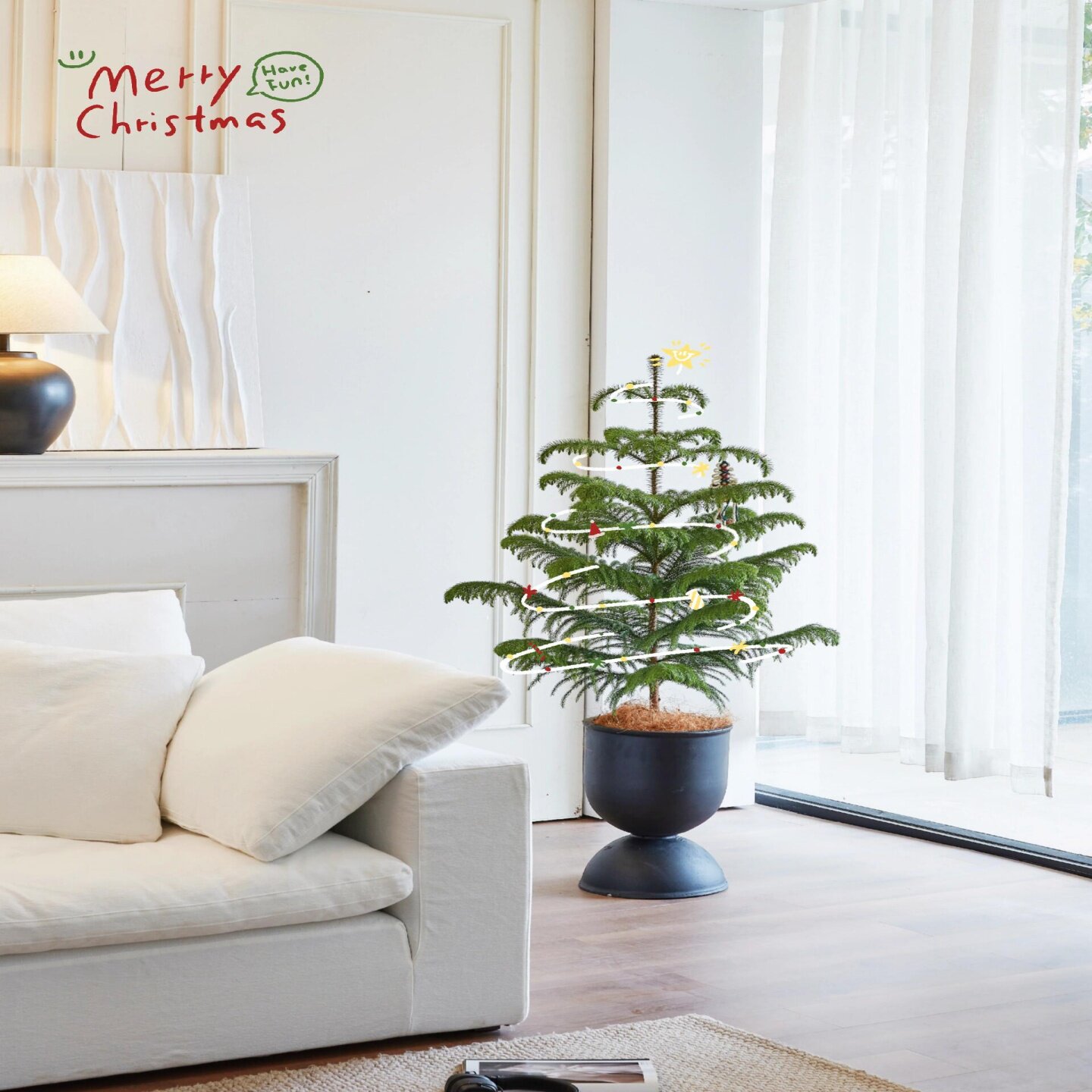 圣诞节日氛围感植物礼物