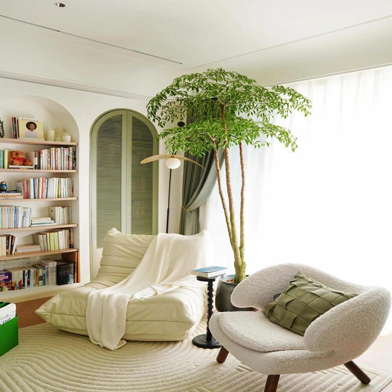 30天养死包赔老桩幸福树晃伞枫