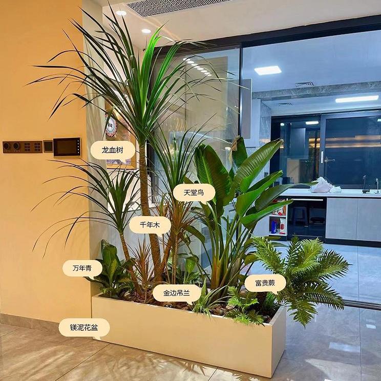 大型绿植花境组合花箱盆栽落地景观室内外阳台庭院展会造景真绿植