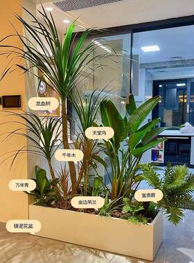 造景花箱大型绿植室内外组合花镜