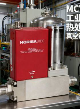 日本HORIBA S600DR624 S600CR624大流量热式气体质量流量控制器