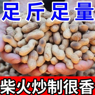 原味炒熟花生农家铁锅沙炒带壳熟花生年货批发特价 新店冲量